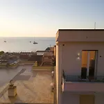 Stella Vi