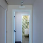 Stella Vi 4*